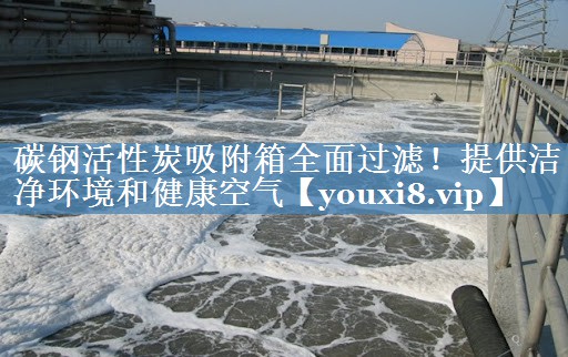 碳钢活性炭吸附箱全面过滤！提供洁净环境和健康空气