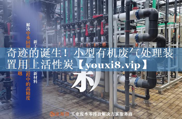 奇迹的诞生！小型有机废气处理装置用上活性炭