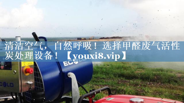 清洁空气，自然呼吸！选择甲醛废气活性炭处理设备！