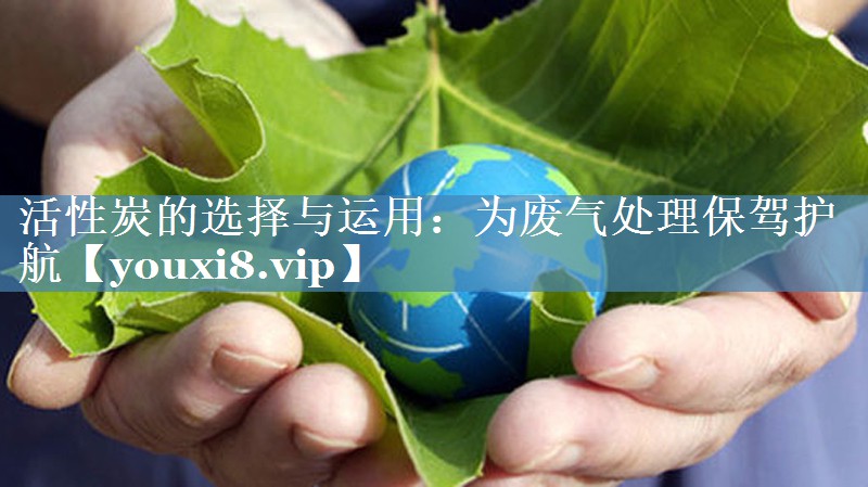 活性炭的选择与运用：为废气处理保驾护航