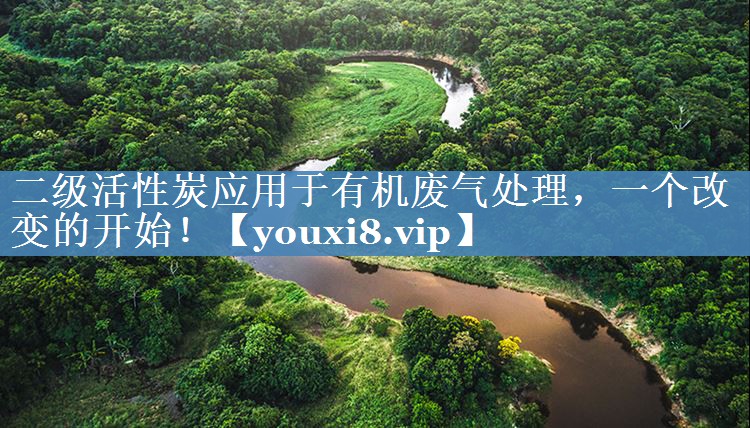 二级活性炭应用于有机废气处理，一个改变的开始！