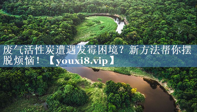 废气活性炭遭遇发霉困境？新方法帮你摆脱烦恼！