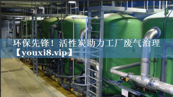 环保先锋！活性炭助力工厂废气治理