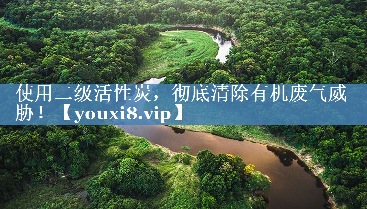 <strong>使用二级活性炭，彻底清除有机废气威胁！</strong>