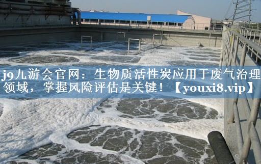 j9九游会官网：生物质活性炭应用于废气治理领域，掌握风险评估是关键！