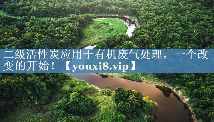 二级活性炭应用于有机废气处理，一个改变的开始！