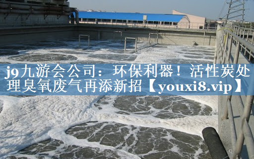 环保利器！活性炭处理臭氧废气再添新招