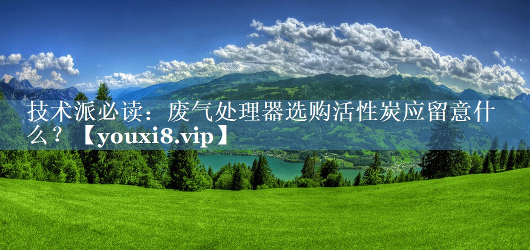 技术派必读：废气处理器选购活性炭应留意什么？