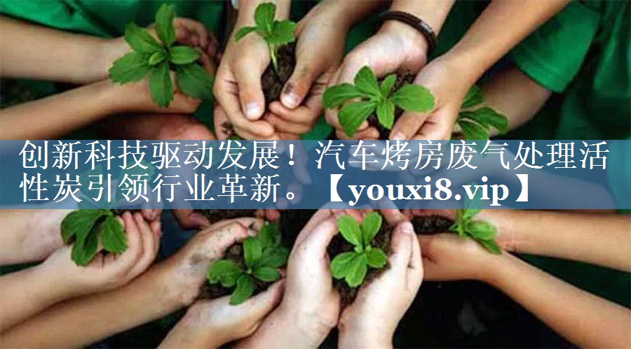 创新科技驱动发展！汽车烤房废气处理活性炭引领行业革新。