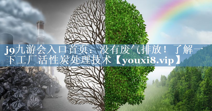 没有废气排放！了解一下工厂活性炭处理技术