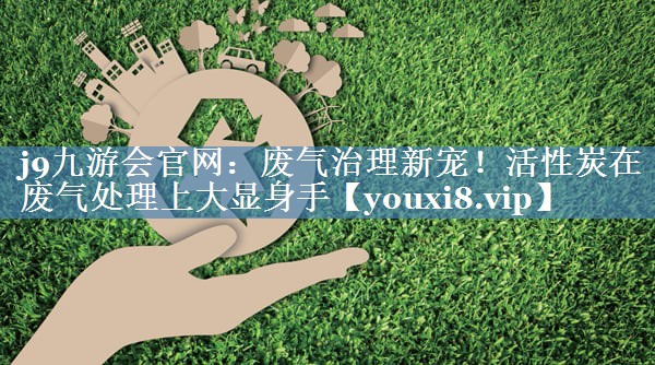 废气治理新宠！活性炭在废气处理上大显身手