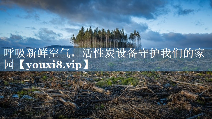 呼吸新鲜空气，活性炭设备守护我们的家园