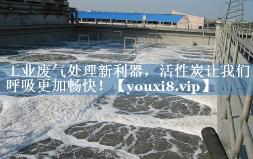 工业废气处理新利器，活性炭让我们呼吸更加畅快！