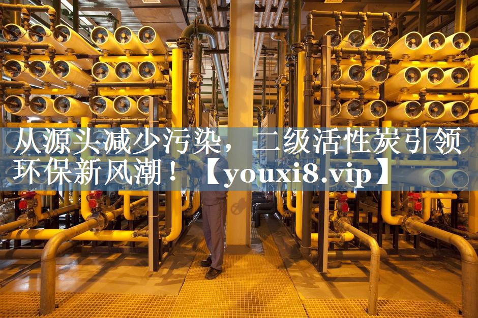 从源头减少污染，二级活性炭引领环保新风潮！