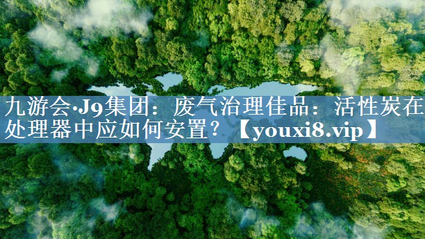 废气治理佳品：活性炭在处理器中应如何安置？