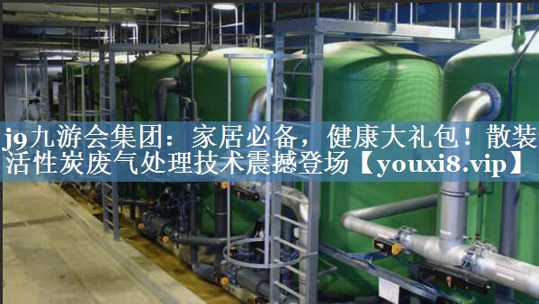 家居必备，健康大礼包！散装活性炭废气处理技术震撼登场