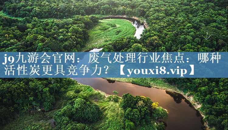 废气处理行业焦点：哪种活性炭更具竞争力？