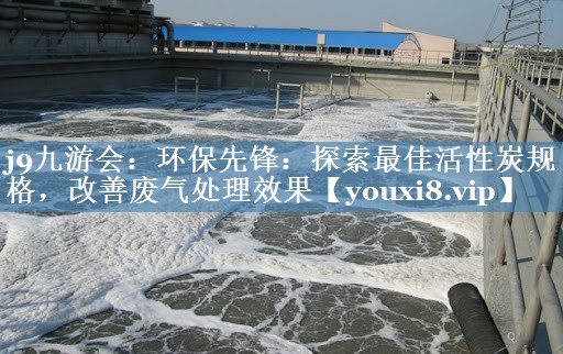环保先锋：探索最佳活性炭规格，改善废气处理效果