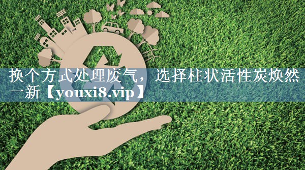 换个方式处理废气，选择柱状活性炭焕然一新