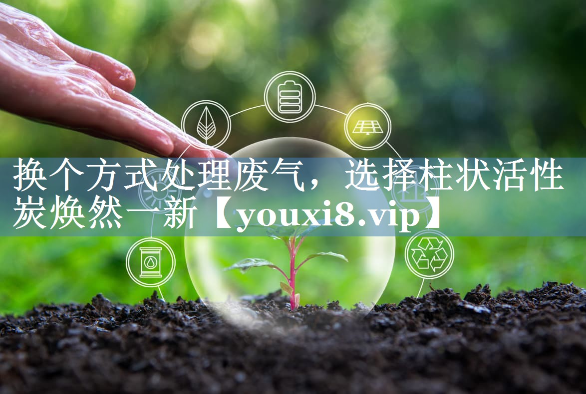 换个方式处理废气，选择柱状活性炭焕然一新