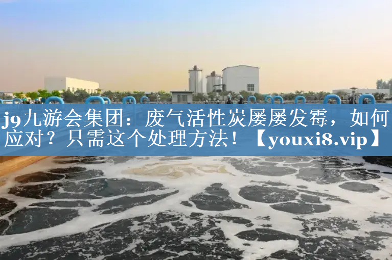 废气活性炭屡屡发霉，如何应对？只需这个处理方法！