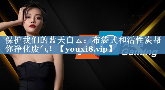 保护我们的蓝天白云：布袋式和活性炭帮你净化废气！